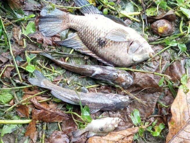 Sabesp é multada em R$ 100 mil