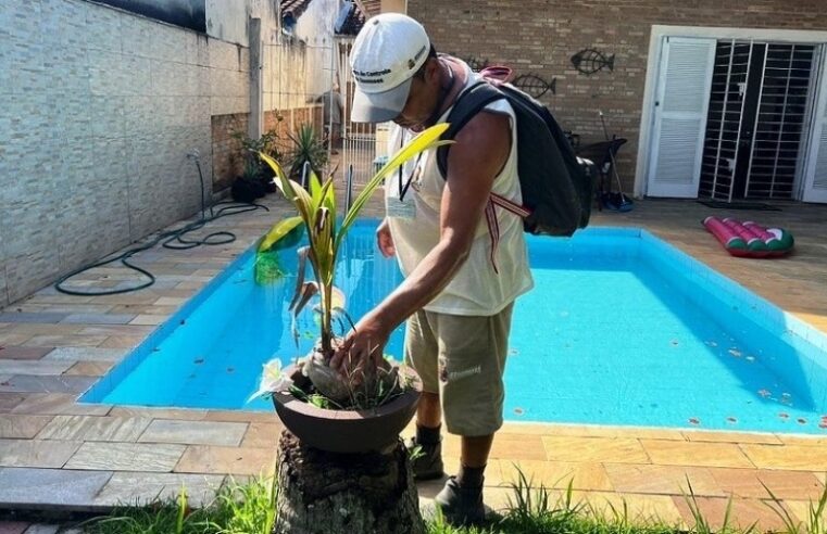 População de Caraguatatuba resiste a combate à dengue