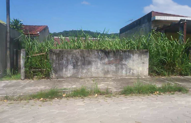 Caraguatatuba lança campanha de limpeza e responsabilidade cívica