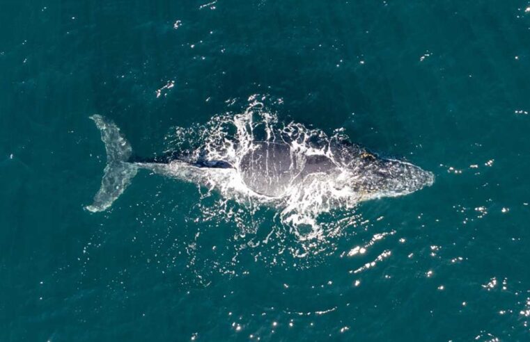 São Sebastião é finalista em prêmio internacional de turismo responsável