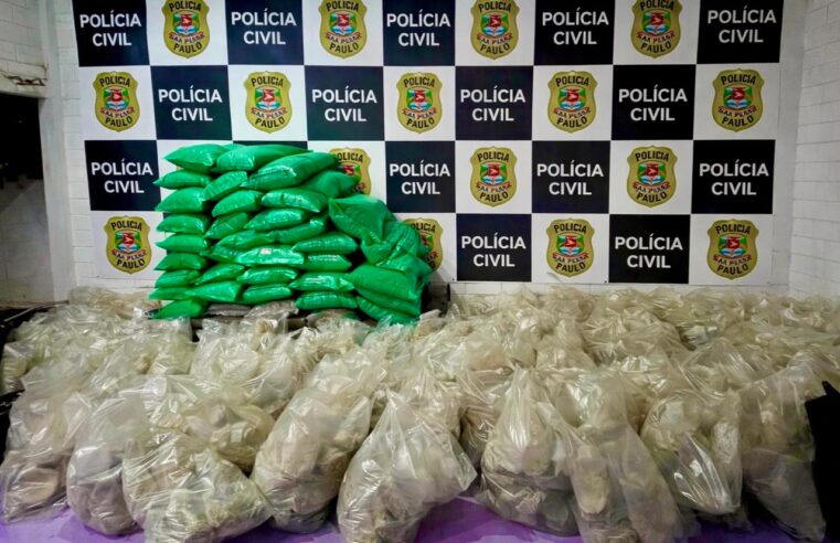 Polícia Civil encontra galpão de cogumelos mágicos