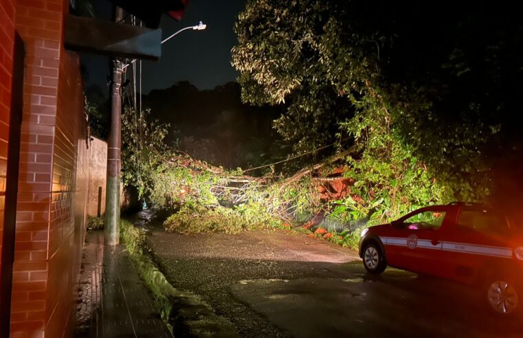 Fortes chuvas causam danos e suspensão de aulas em Ubatuba