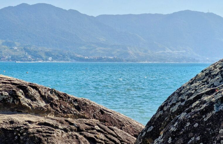 Projeto “Memórias de Armazém” – Linhas do cais (Parte II)