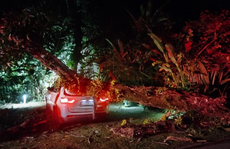 Árvore cai sobre veículo em São Sebastião, causando danos significativos