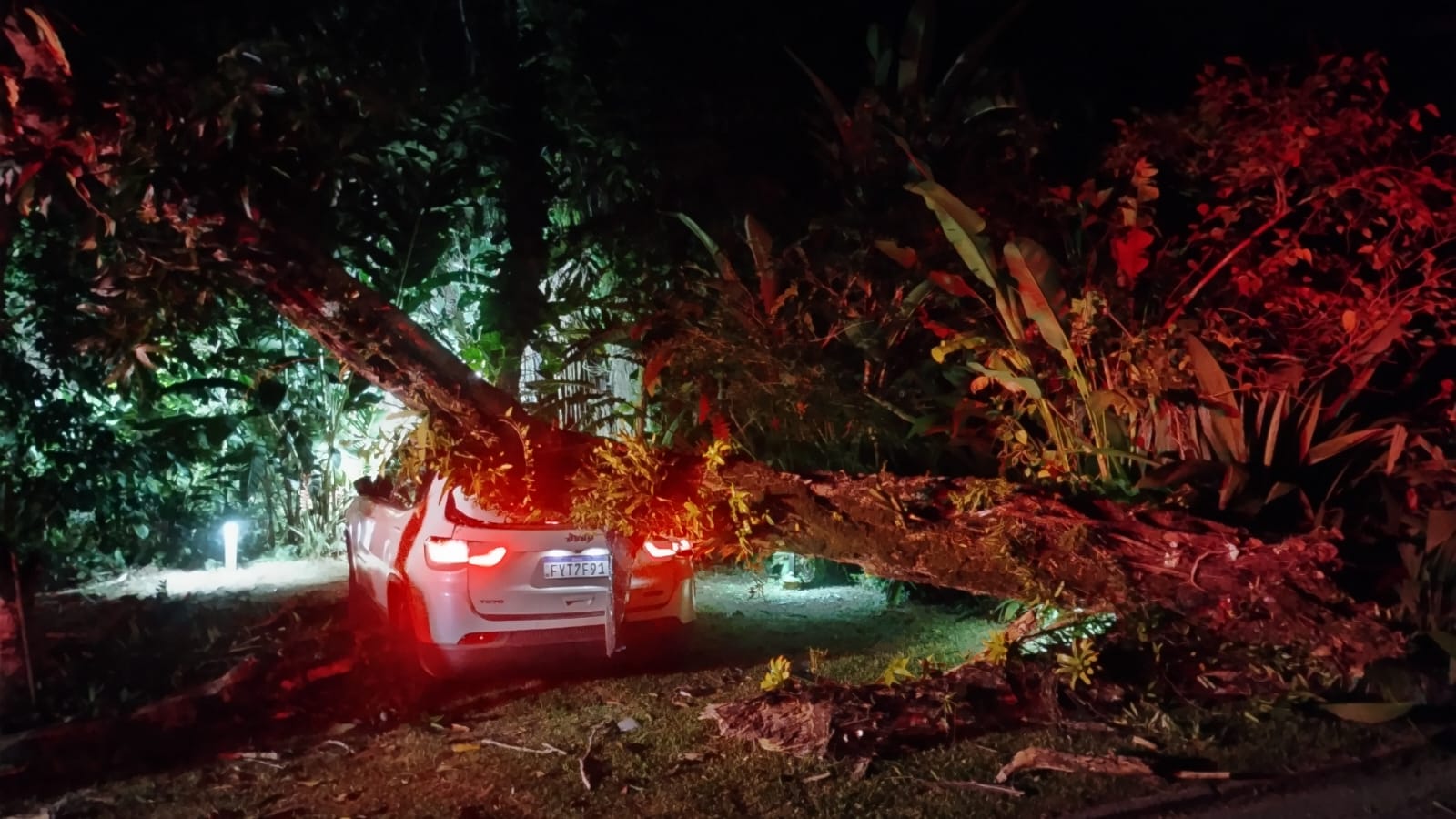 Árvore cai sobre veículo em São Sebastião, causando danos significativos