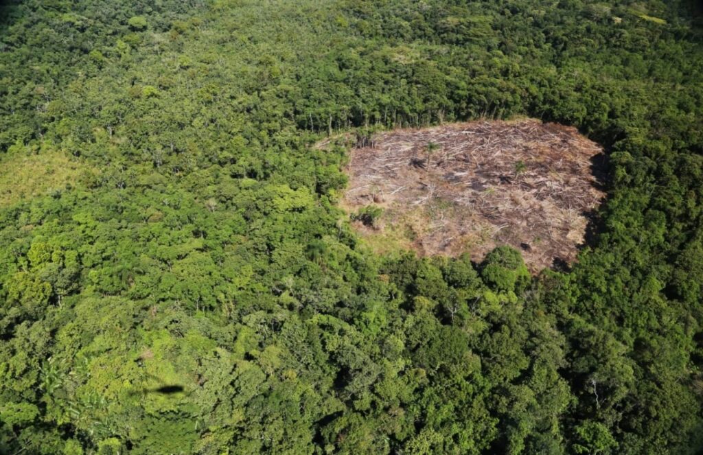São Paulo amplia monitoramento ambiental por satélite