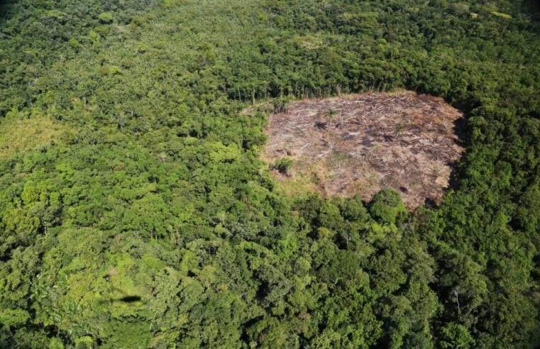 São Paulo amplia monitoramento ambiental por satélite
