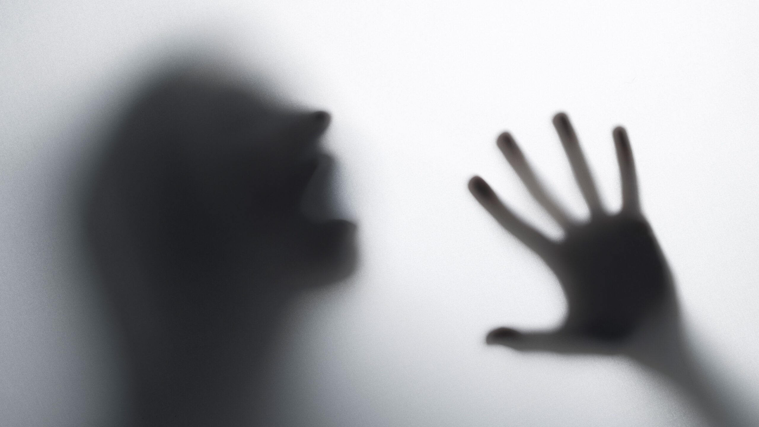 Câmara aprova tornozeleira eletrônica para agressores de mulheres