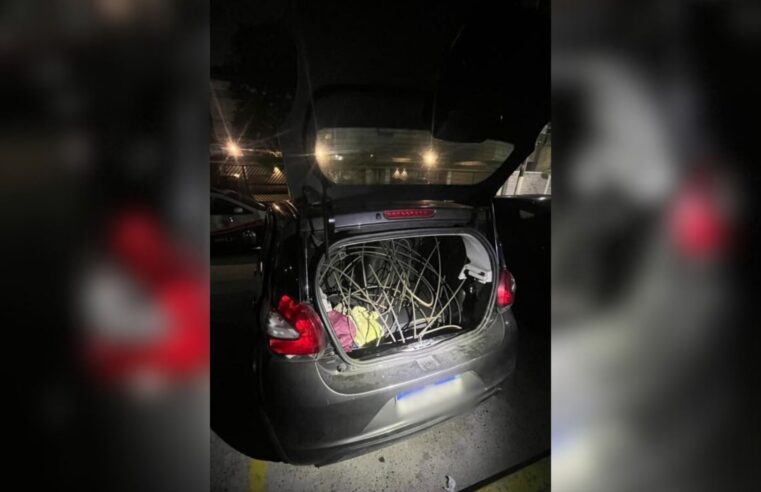 Câmeras do CCO ajudam a prender ladrões de bonde em Santos