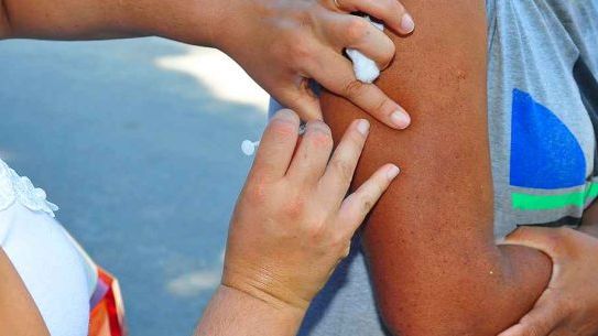Caraguatatuba reforça vacinação contra febre amarela