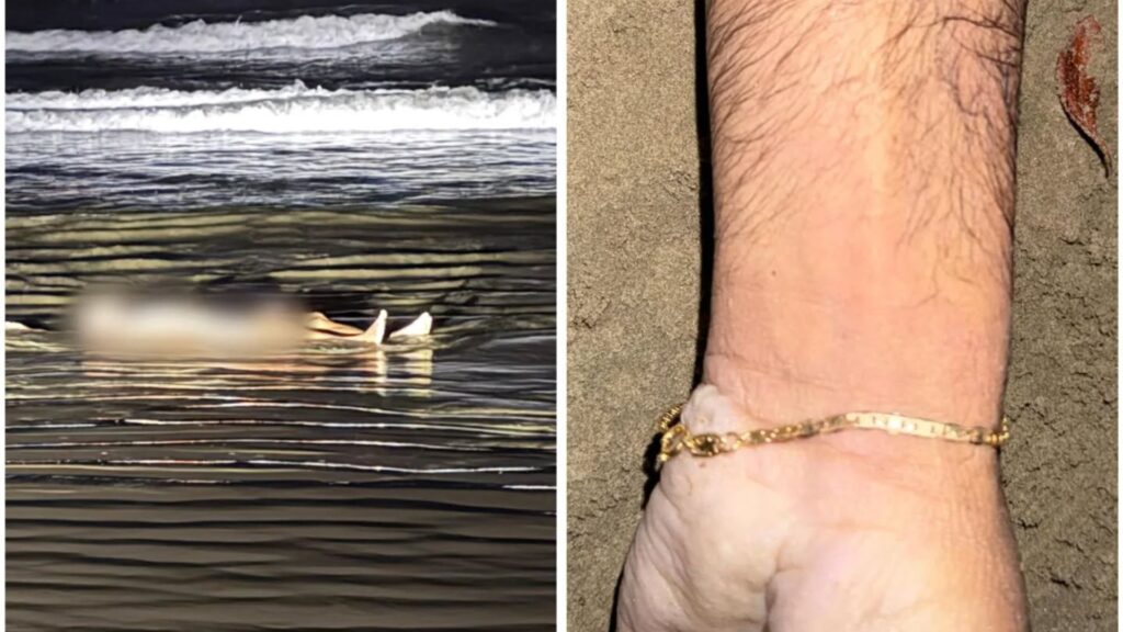 Morte misteriosa na praia de Bertioga
