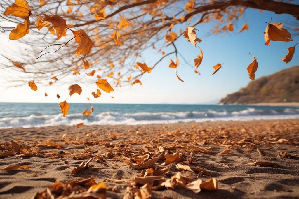 Calor e tempo estável no Litoral Norte no fim de semana