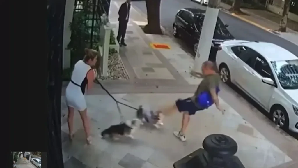 Aposentado condenado por agredir cães de ministro