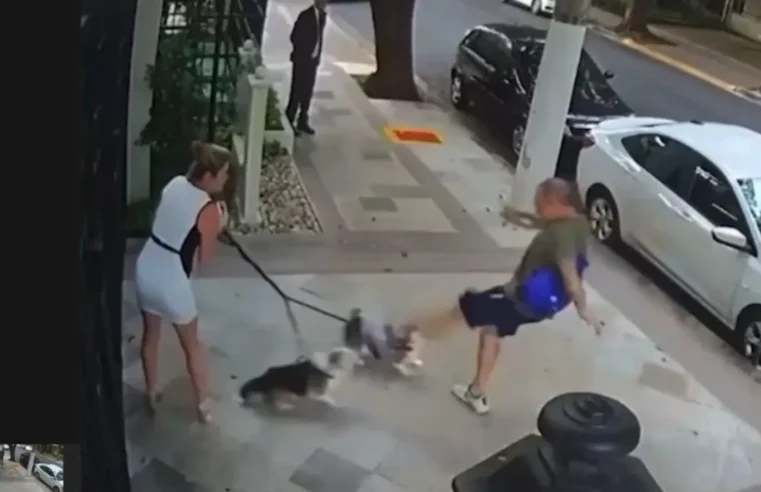 Aposentado condenado por agredir cães de ministro