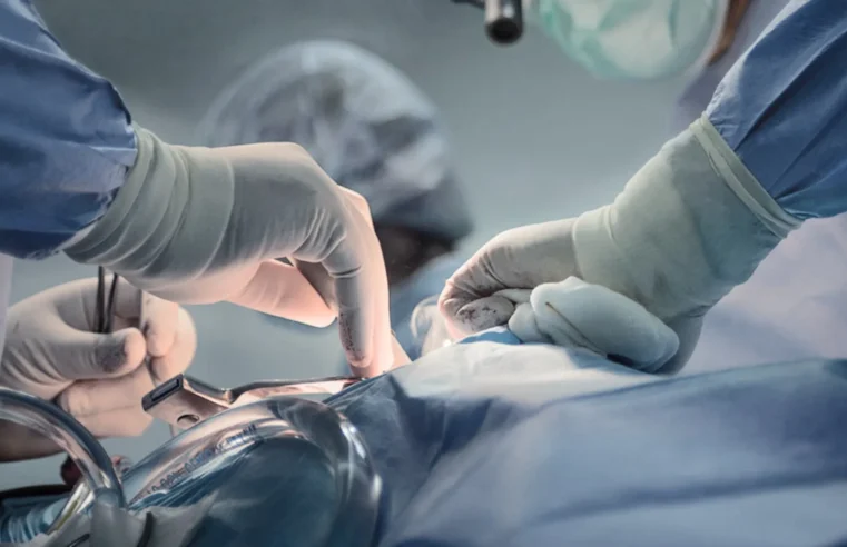 Vaticano autoriza xenotransplante para católicos