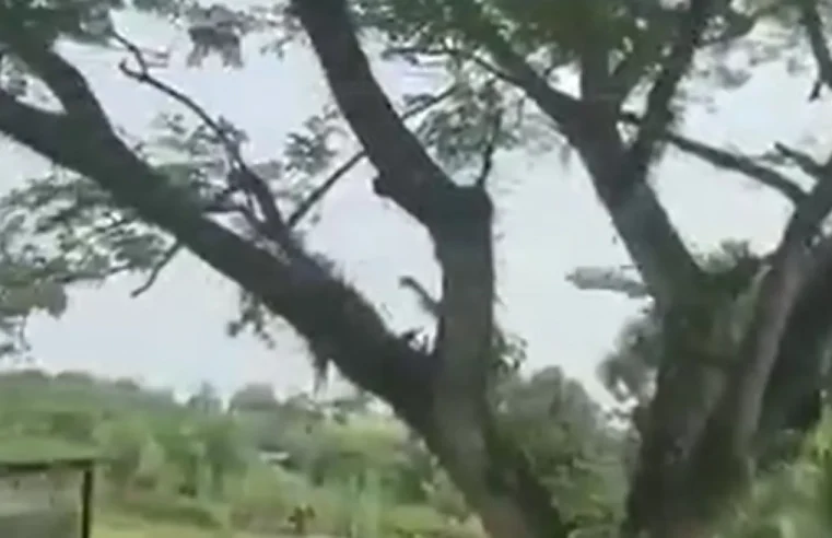 Avião militar explode ao pousar na Colômbia, 66 mortos