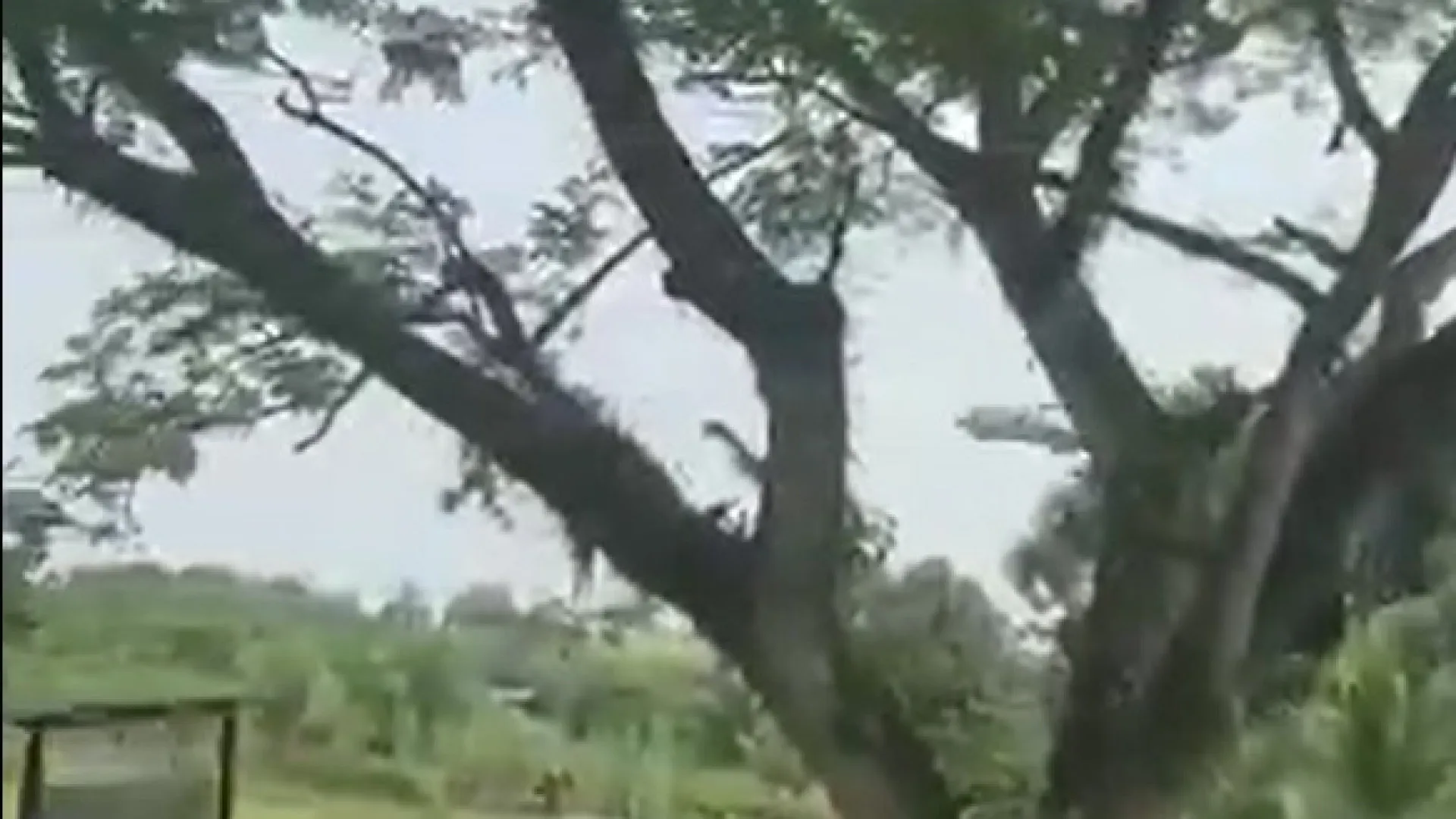 Avião militar explode ao pousar na Colômbia, 66 mortos