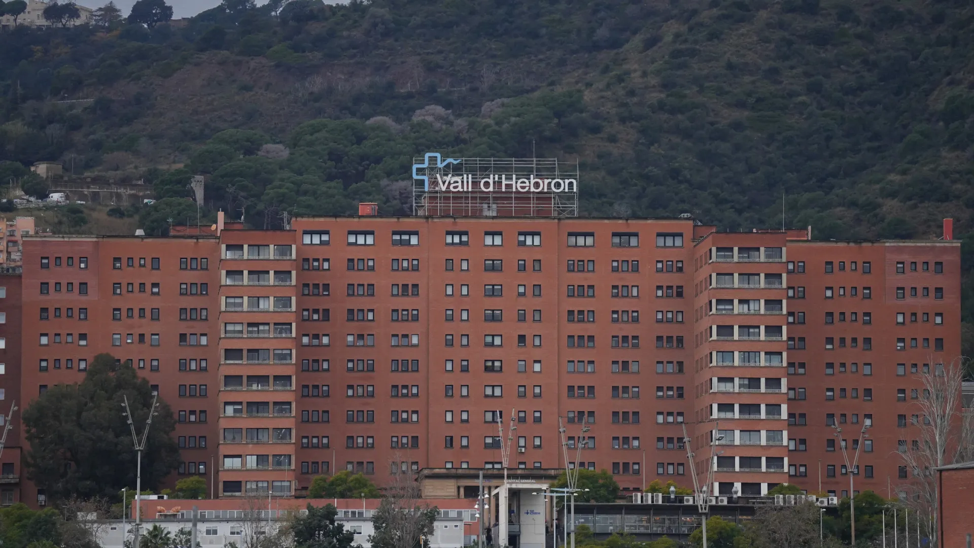 Bebê de um mês era abusado pelos pais, dizem médicos