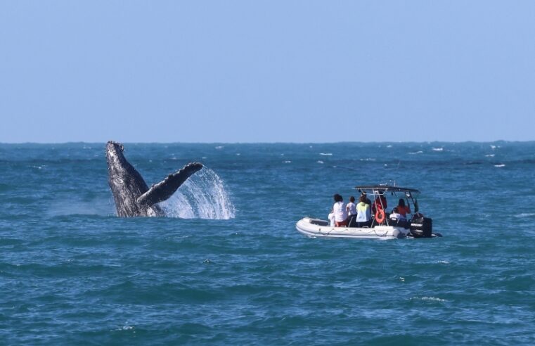 Ilhabela é destaque em prêmio por turismo responsável
