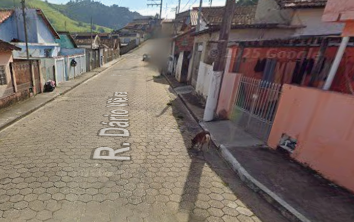 Cachorro ataca menino de 3 anos em Piquete e avó é ferida