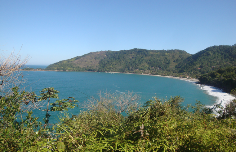 Doze praias do Litoral Norte de SP estão impróprias para banho