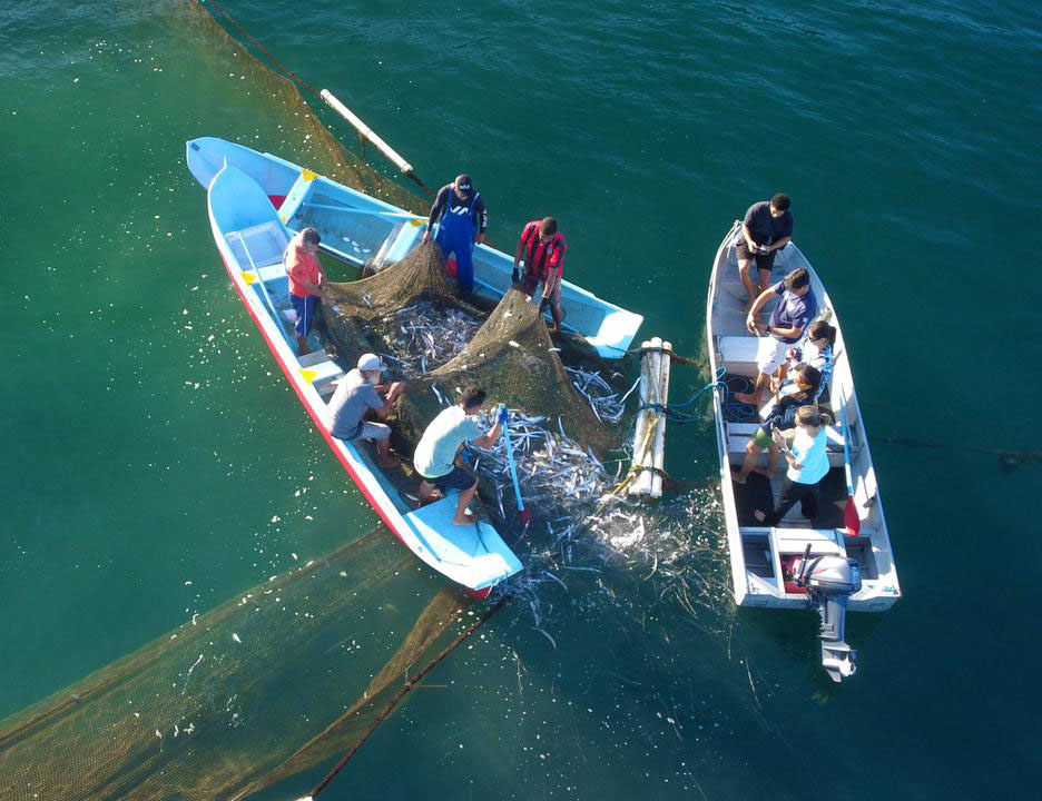 São Sebastião valoriza cultura caiçara com turismo de base
