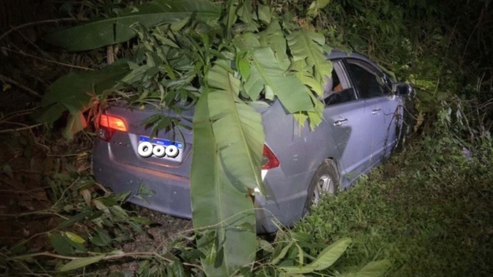 Casal morre atingido por motorista embriagado na Rio-Santos