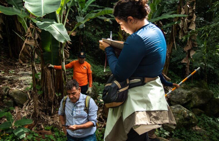 Tecnologia japonesa ajuda a combater detritos no Morro do Abrigo