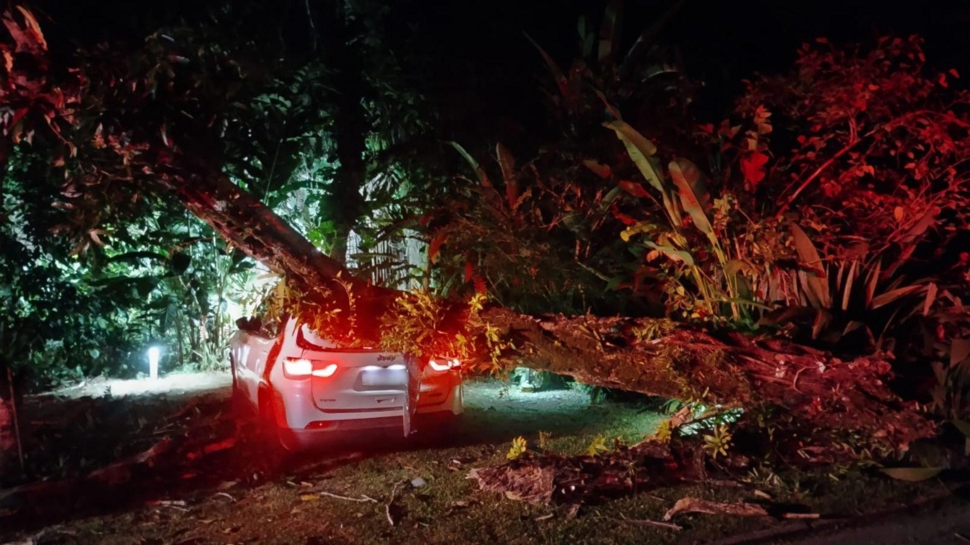 Árvore cai sobre carro em São Sebastião, não houve vítimas