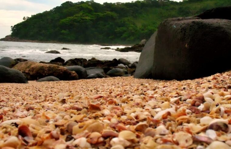 Praia das Conchas: o segredo de Guarujá