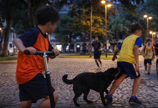 Cães atacam crianças em praça central de São José do Barreiro