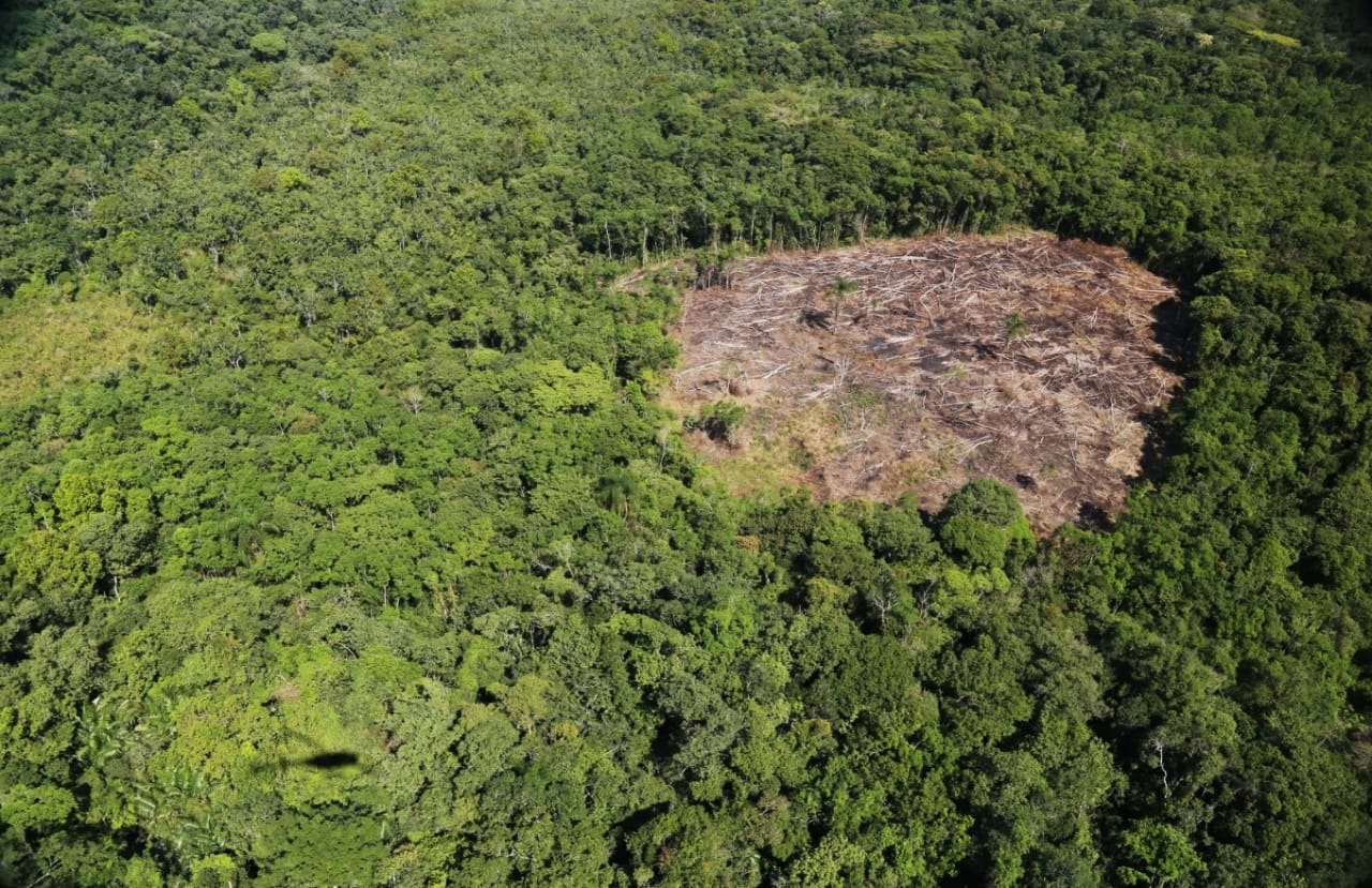 São Paulo amplia monitoramento ambiental por satélite