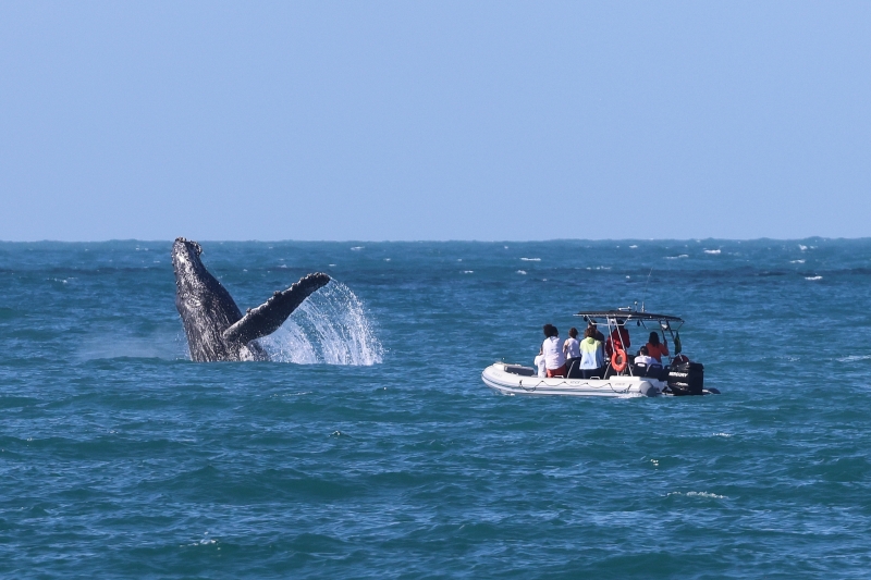 Ilhabela é destaque no Prêmio Sebrae Prefeitura Empreendedora