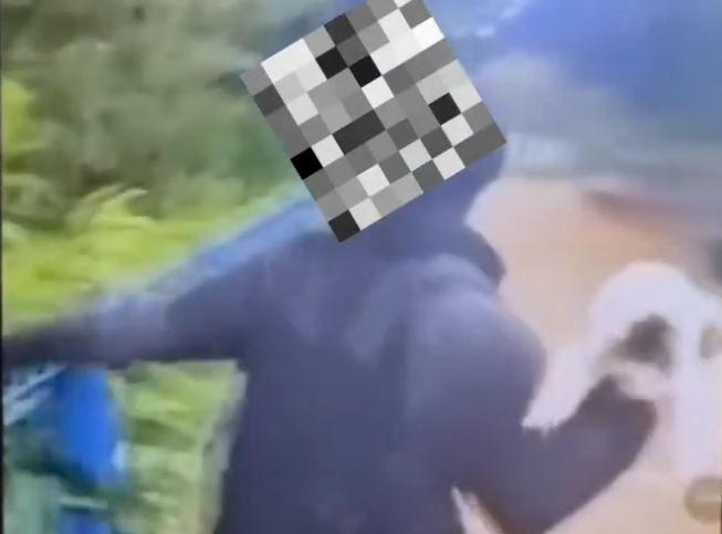 Gata é arremessada no Rio Paraitinga e é encontrada viva