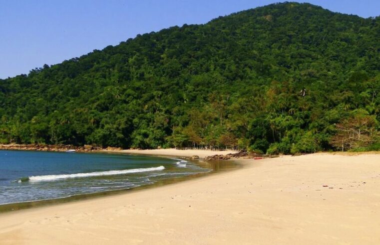 Praia do Camburi: destino perfeito para surfeiros