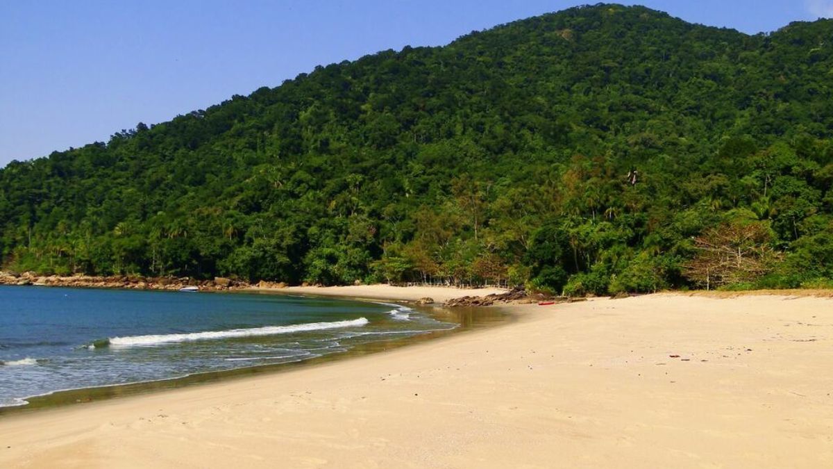 Praia do Camburi: destino perfeito para surfeiros
