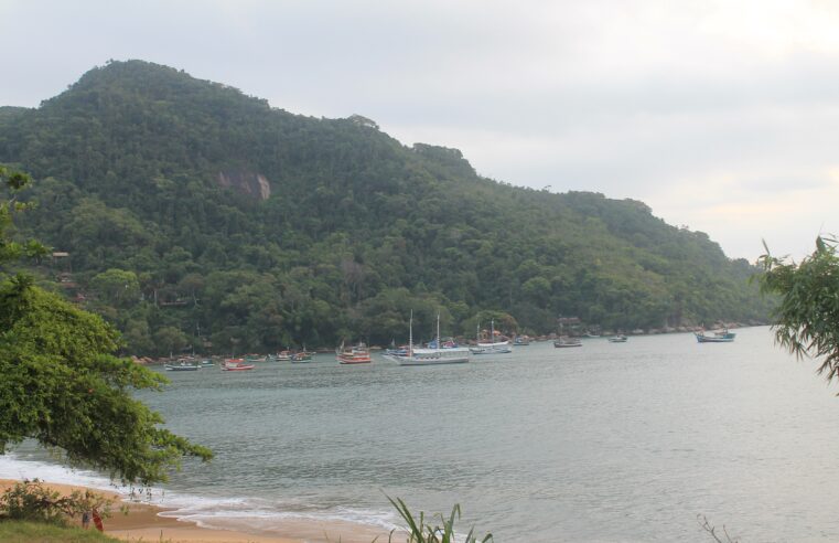 46 praias do litoral de SP são impróprias para banho