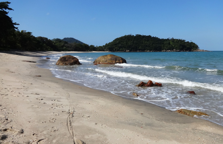 Litoral Norte de SP tem 10 praias impróprias para banho