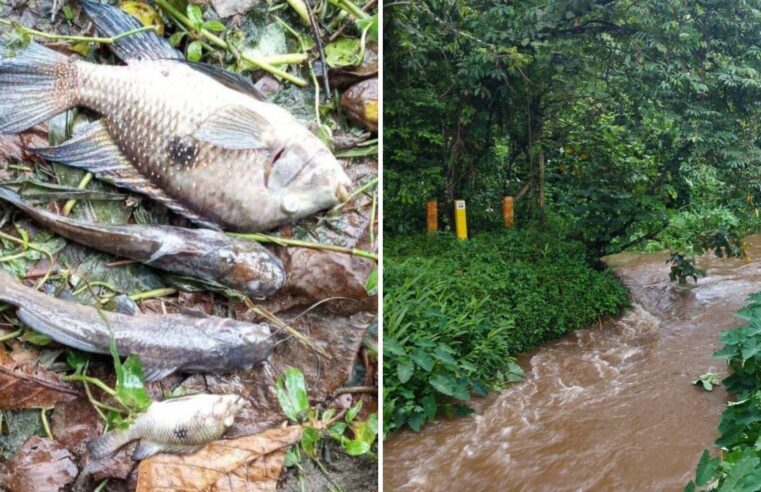 Sabesp é multada em R$ 100 mil