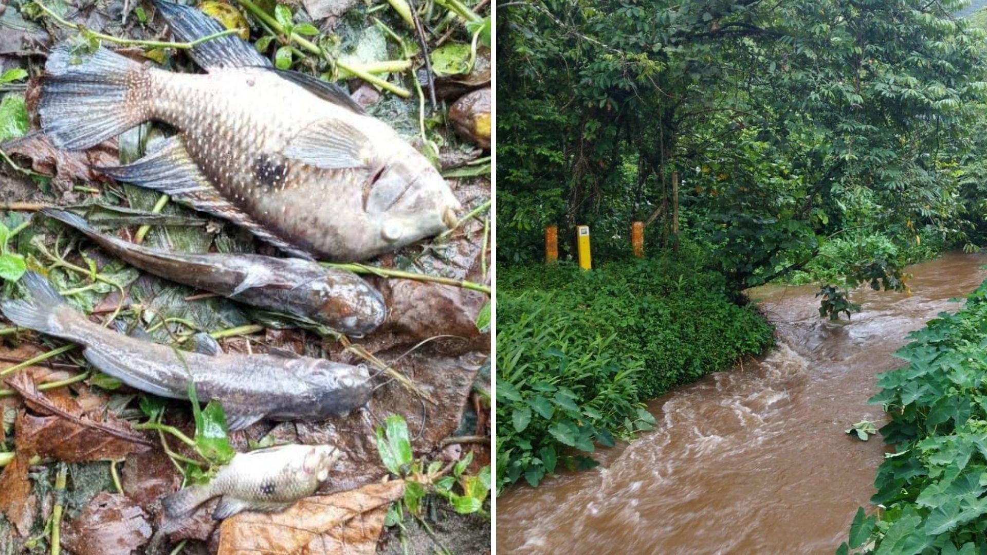 Sabesp é multada em R$ 100 mil