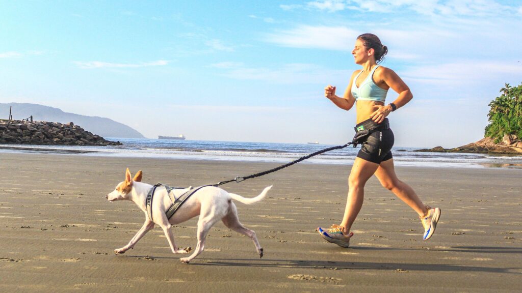 Santos sediará prova de corrida com cães em abril