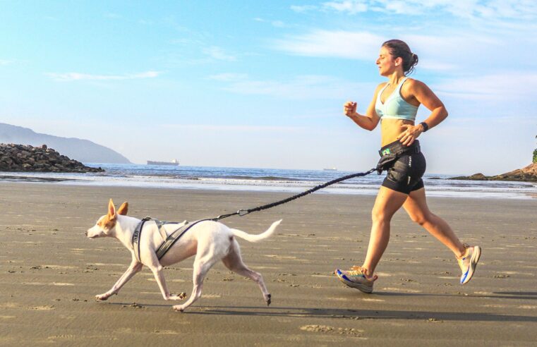 Santos sediará prova de corrida com cães em abril