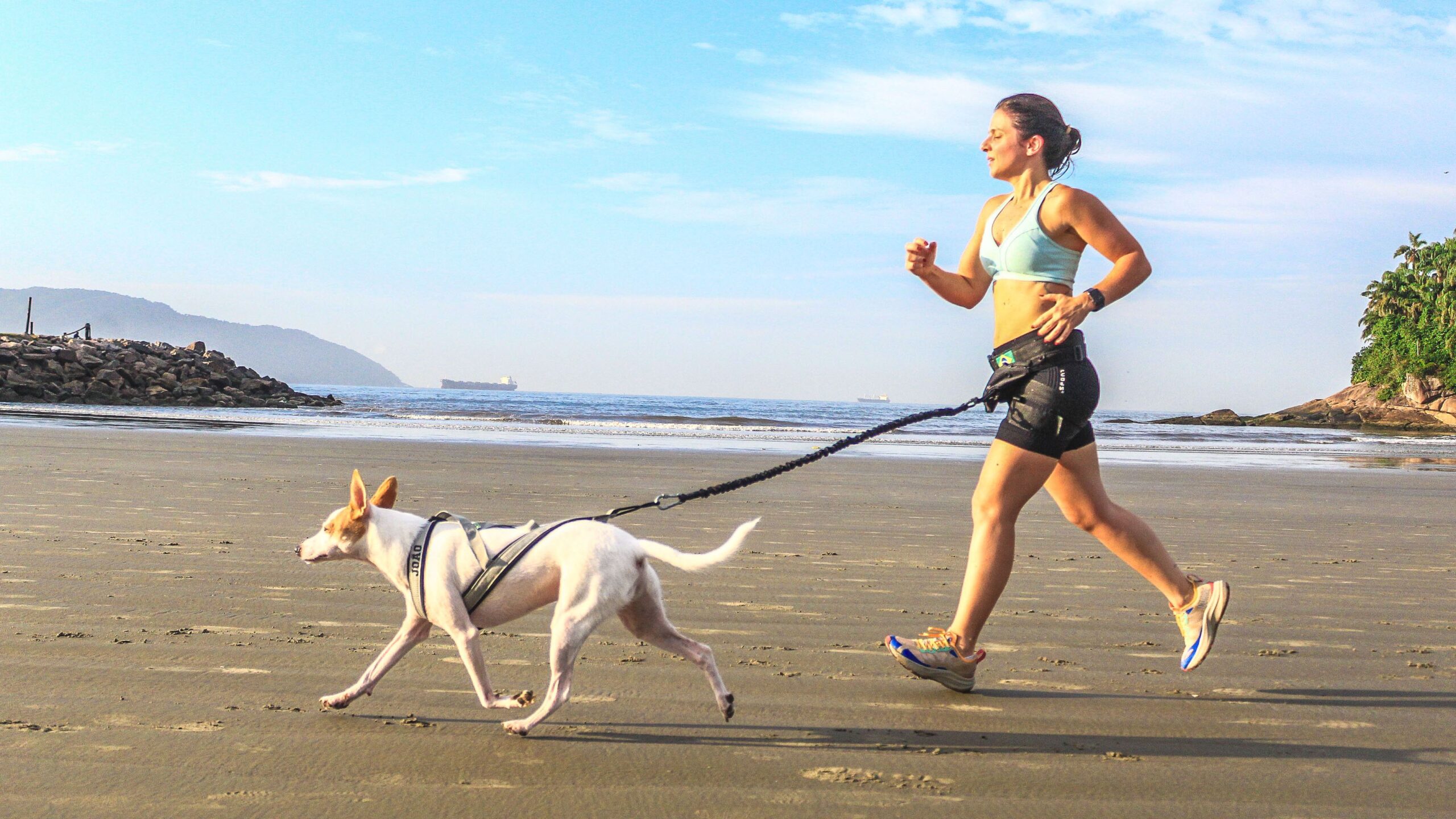 Santos sediará prova de corrida com cães em abril