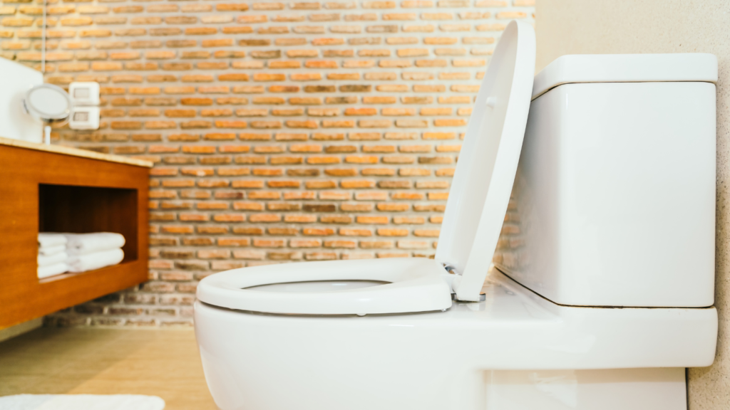 Canadá lança tecnologia que pode mudar o vaso sanitário