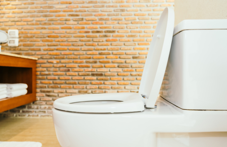 Canadá lança tecnologia que pode mudar o vaso sanitário