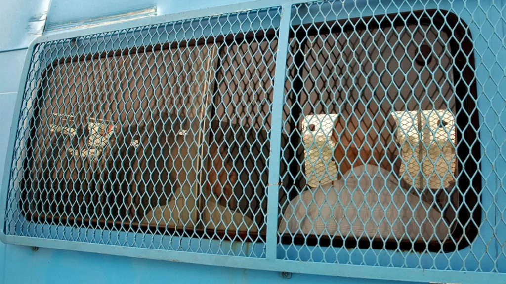 França condena ex-jogadores de rúgbi por estupro