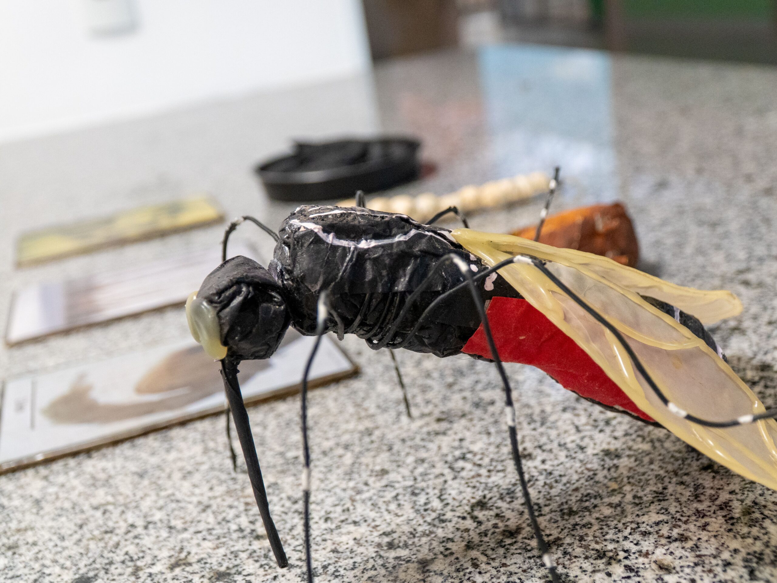 Prefeitura lança projeto para combater Aedes aegypti