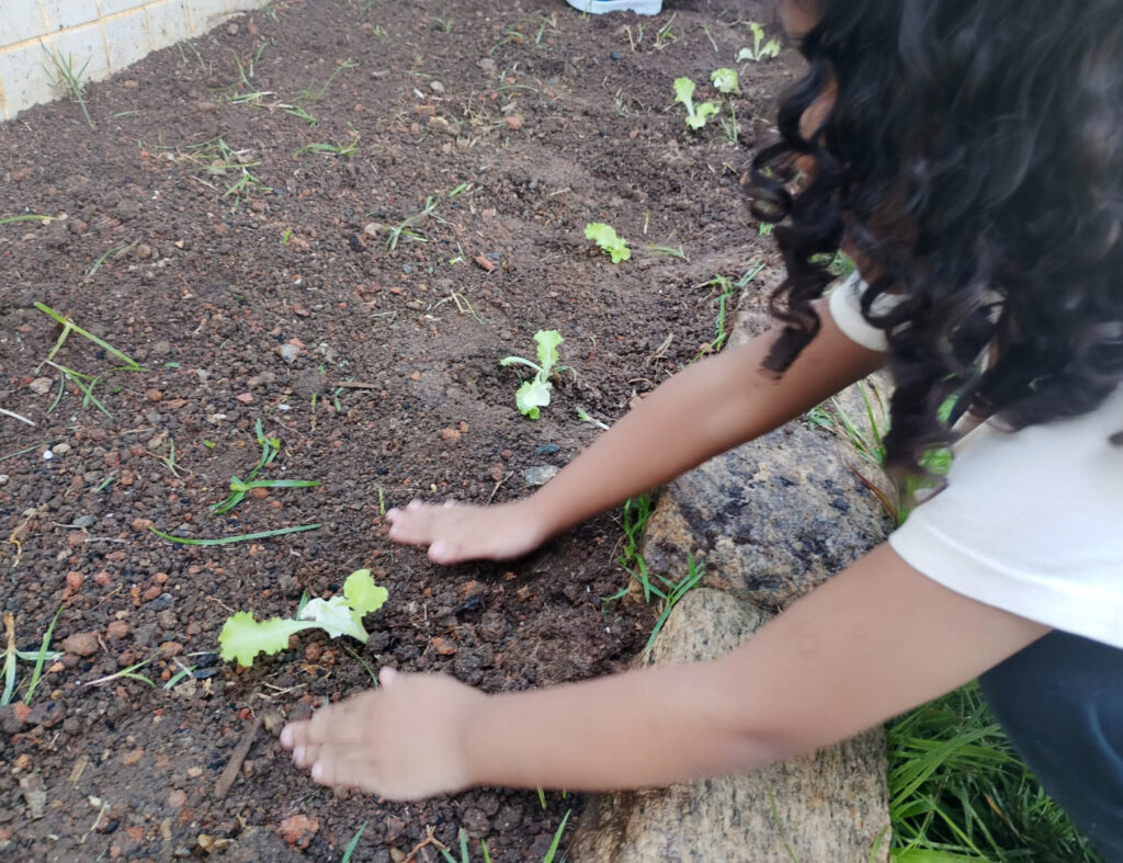 Prefeitura promove ação 'Horta para Todos' em São Sebastião