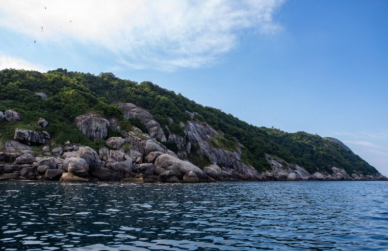 Ilha das Serpentes: Prefeitura é acusada de descaso em Ilhabela
