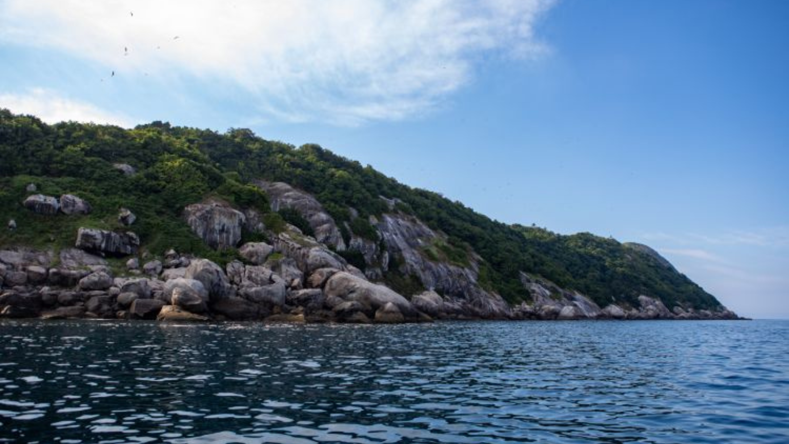 Ilha das Serpentes: Prefeitura é acusada de descaso em Ilhabela